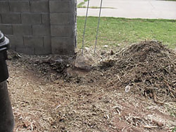 Level, cleared ground where the stump used to be