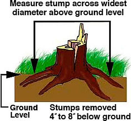 Diagram showing how to measure a stump from widest point to widest point at ground level